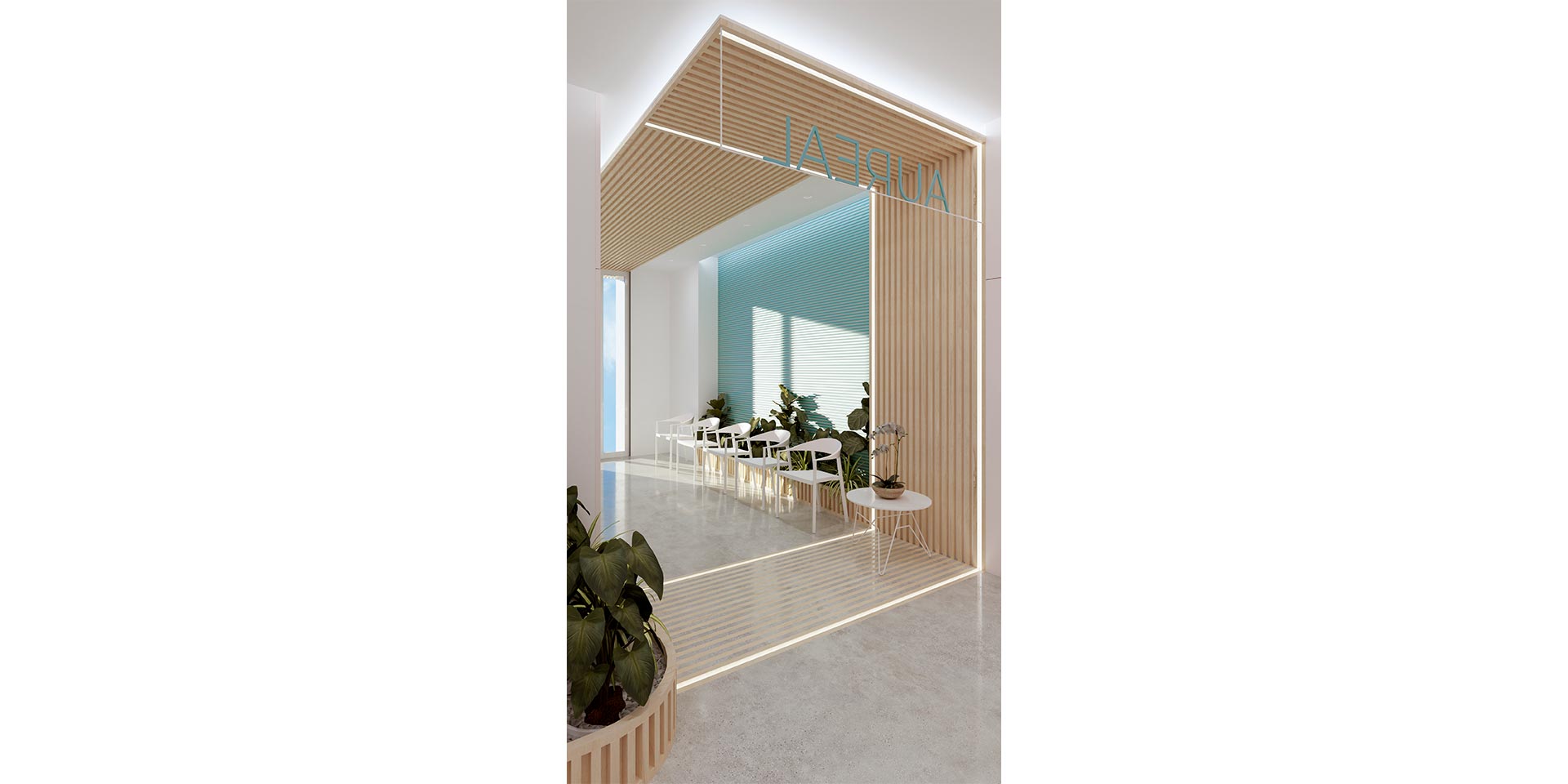 9. Entrada_desde_pasillo